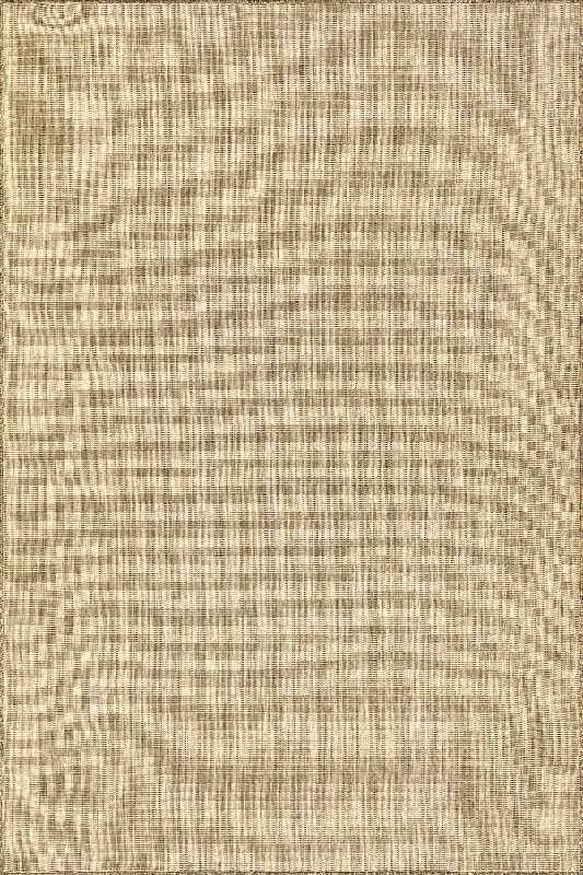 Dorinda Hazy Solid Indoor/Outdoor Rug | Brown